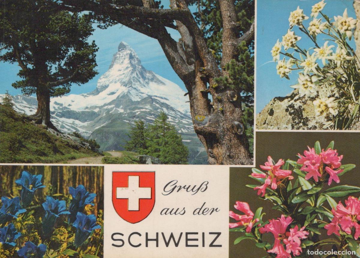 Postcards: Switzerland Zermatt Matterhorn Mountain Edelweiss Gentian Unposted *YAP787
