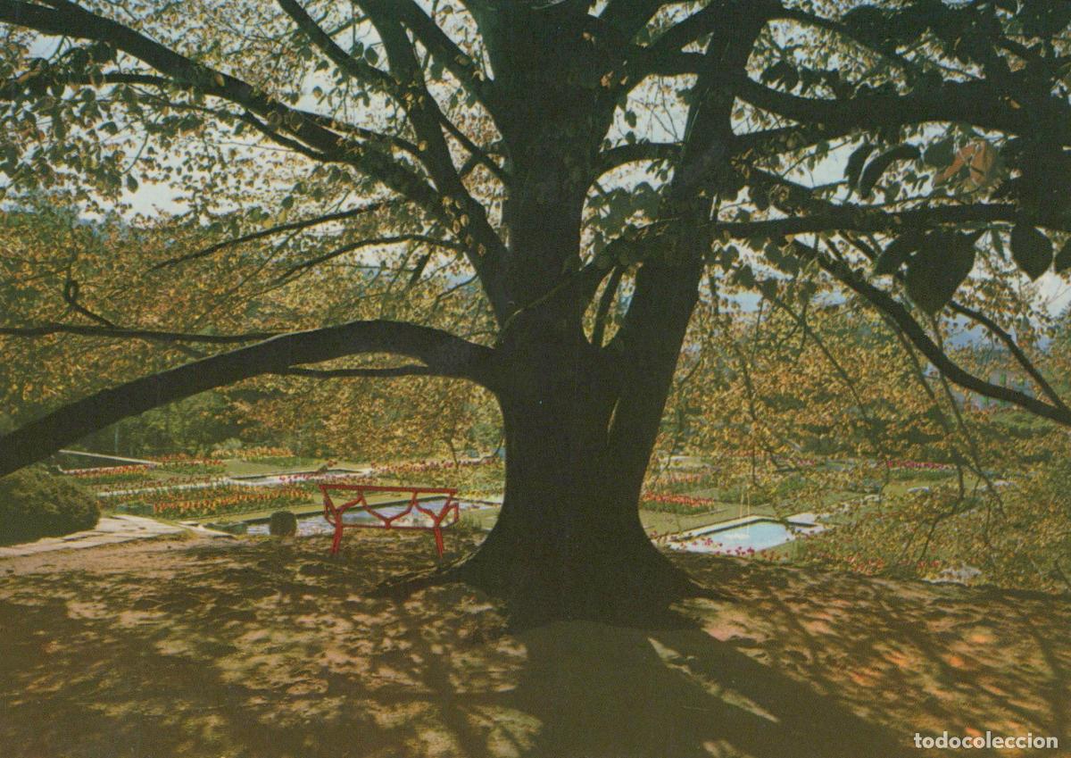 Postales: Italy Verbania Pallanza Villa Taranto Botanical Gardens Large Unposted *YAP839