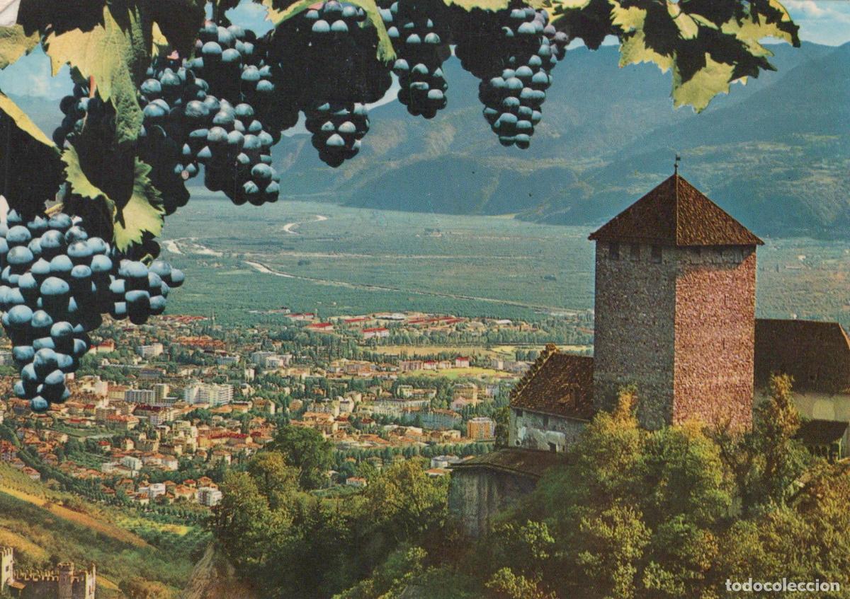 Postales: Italy Merano Castle Tyrol Vineyard Landscape City View Vintage *YAP867