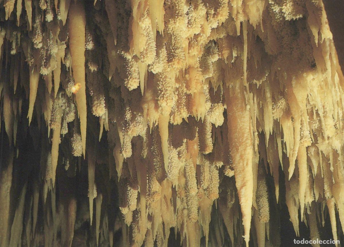 Postales: Italy Castellana Grotte Bari le Pannocchie Cave Stalactites Unposted *YAP879