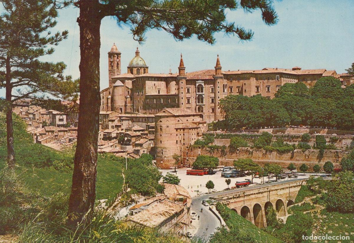 Cartes Postales: Italy Urbino Panorama General View Historic Cityscape With Unposted *YAR070