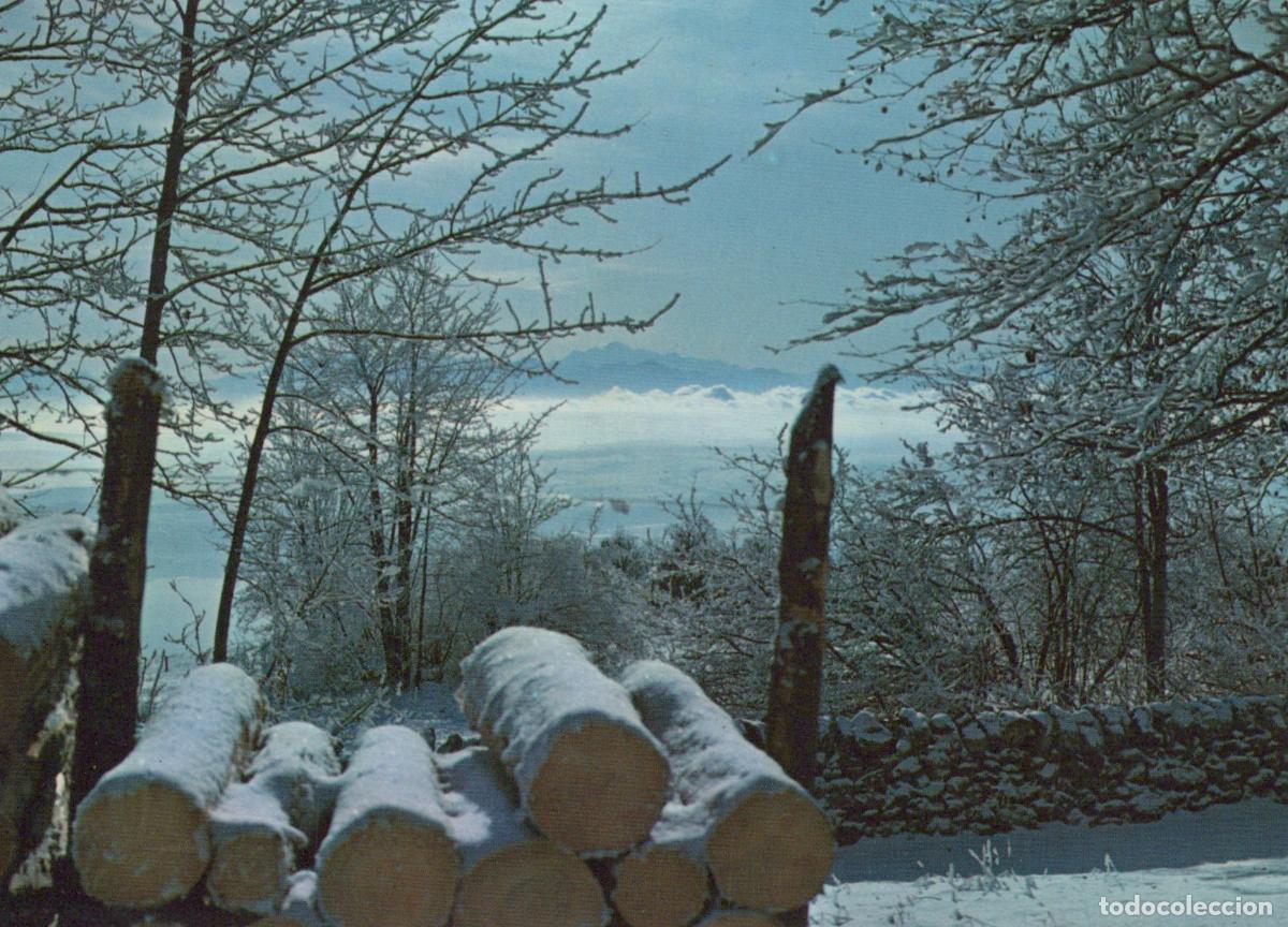 Postales: Switzerland Winter Landscape Snow Covered Logs Forest Mountains *YAR277