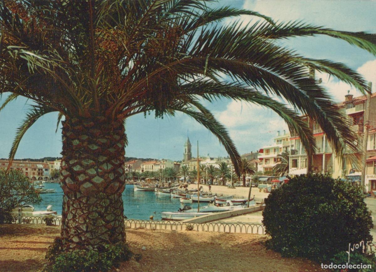 Postales: France Sanary sur Mer Coastal Town View With Palm Tree and Boats *YAR365