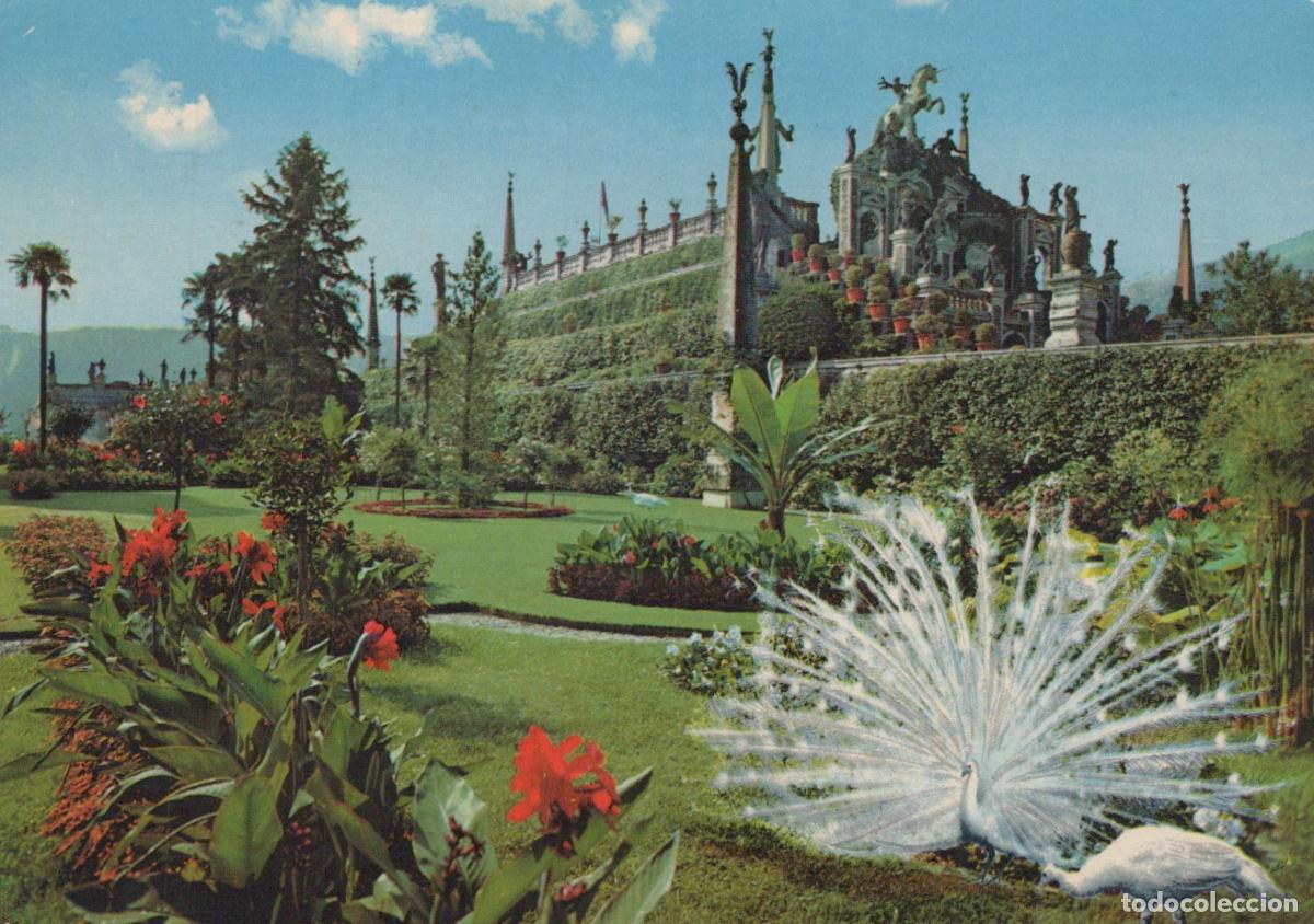 Postales: Italy Stresa Isola Bella Lake Maggiore White Peacock in Borromeo Palace *YAR382