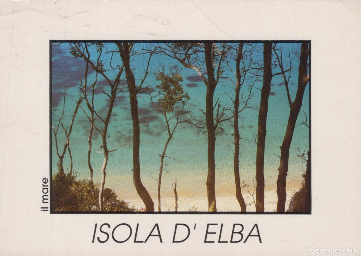 Cartoline: Italy Isola D Elba Trees On Beach With Clear Turquoise Sea *YAR431
