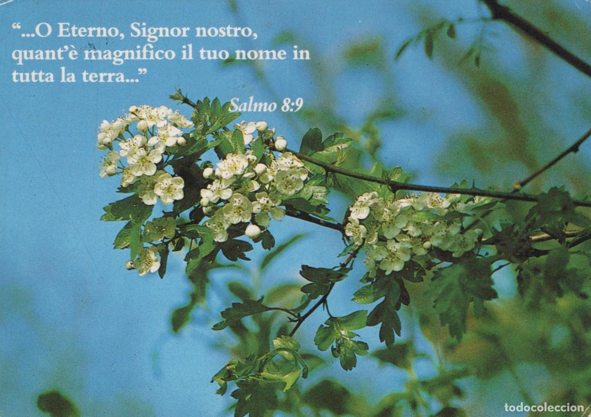 Cartoline: Italy Ischia Castello Aragonese Religious Quote Flowers 1990s *YAR483