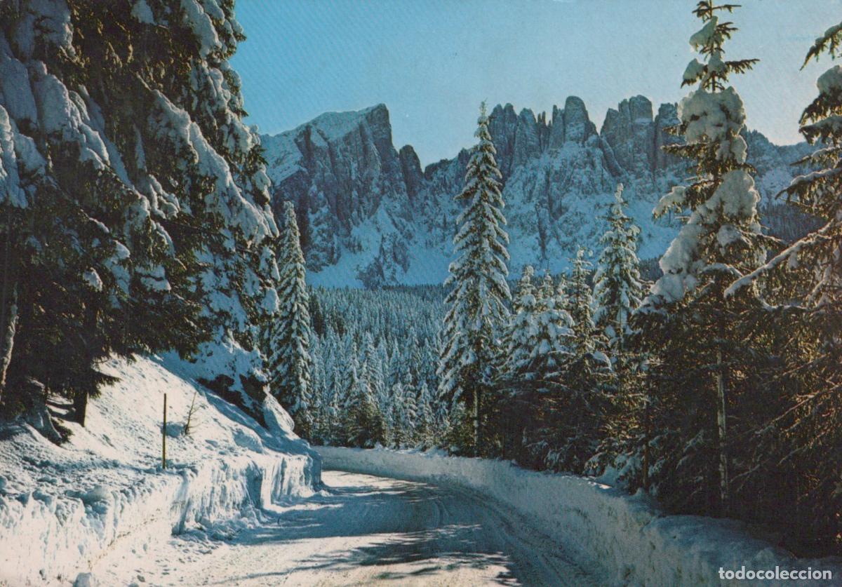 Cartoline: Italy Carezza Al Lago Dolomites Winter Road Snow Covered Trees Mountains *YAR513
