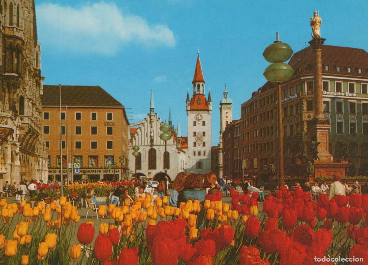 Postkarten: Germany Munich Marienplatz Square With Tulips and New Town Hall Unposted *YAR604