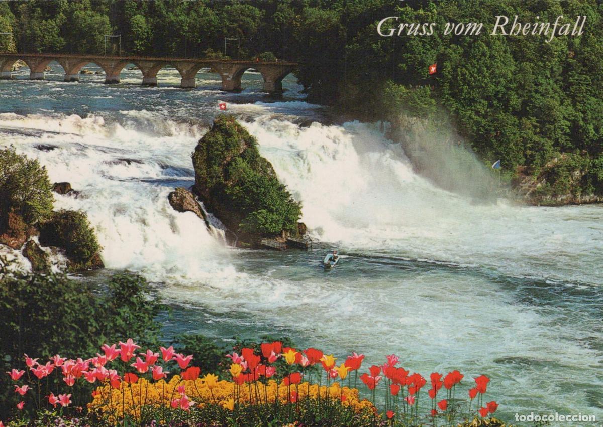 Cartoline: Switzerland Schaffhausen Rhine Falls Bridge Landscape Flowers *YAR767