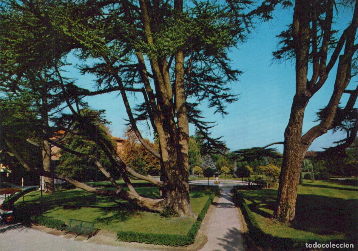 Postales: Italy Ferrara Parco Massari Park Green Trees Pathway Vintage Unposted *YAR950