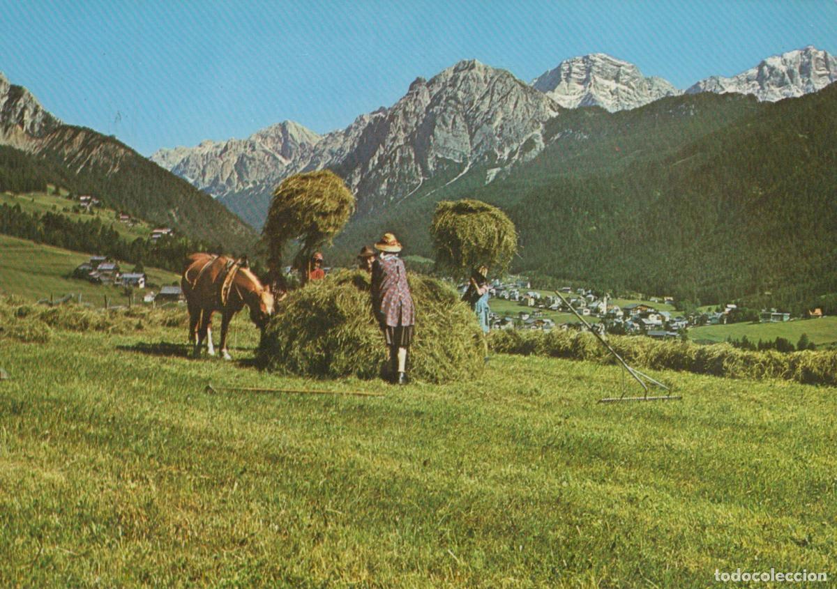 Postcards: Italy San Vigilio DI Marebbe S Vigilio DI Marebbe Dolomites Hay Harvest *YAR995