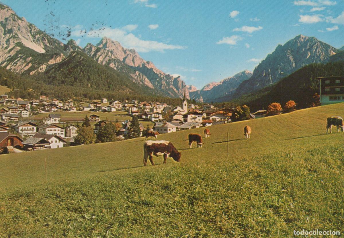 Cartes Postales: Italy S Vigilio DI Marebbe Dolomites Mountain Village With Grazing Cows *YAR998