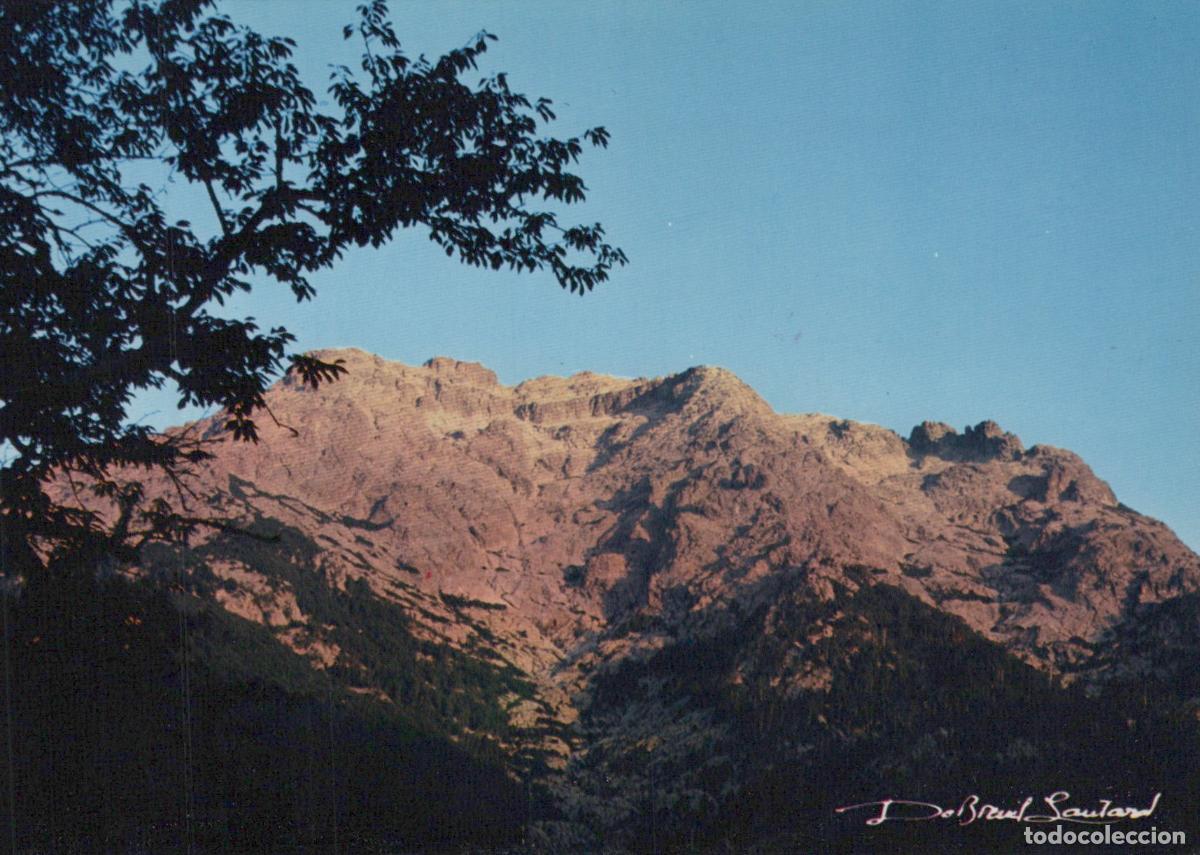 Postkarten: France Ajaccio Monte D Oro Mountain Landscape With Tree Unposted *YAS049