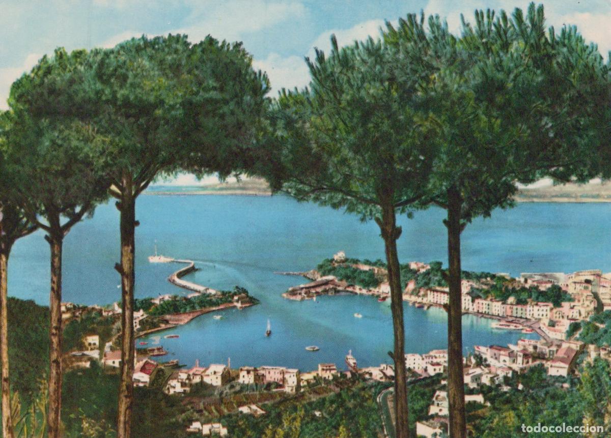 Cartoline: Italy Ischia Porto the Harbour Coastal Town View With Pine Trees *YAS113