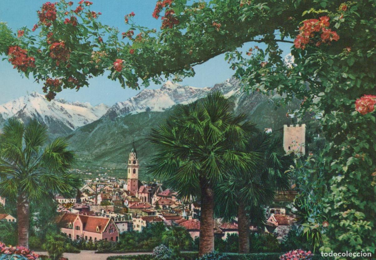 Postkarten: Italy Merano Panorama With Alps and Flowering Trees *YAS123