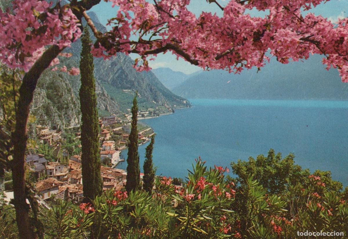 Postales: Italy Limone Sul Garda Lake Garda With Pink Flowers and Cypress Trees *YAS125