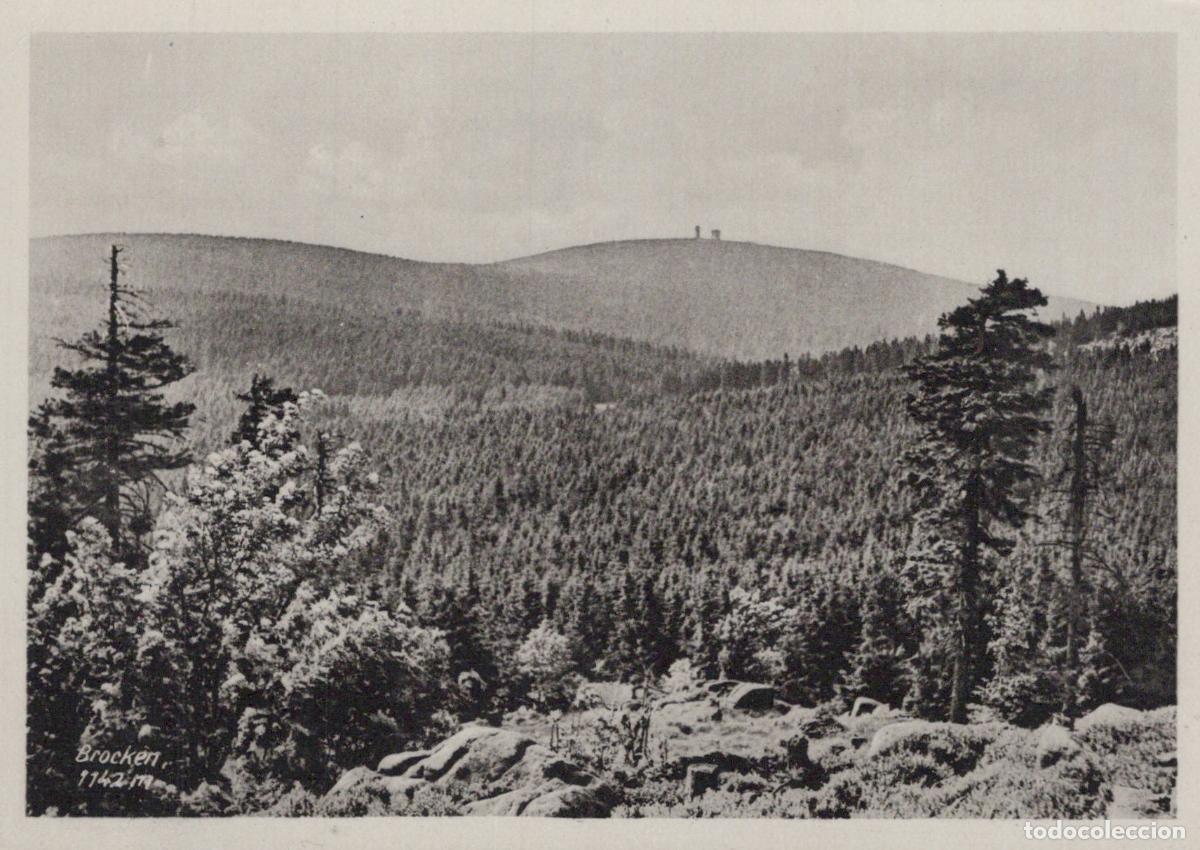 Postkarten: Germany Brocken Mountain 1142m Harz Forest Landscape Vintage Unposted *YAS223