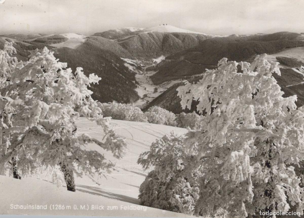 Postales: Germany Schauinsland Winter Landscape View To Feldberg Snow Covered *YAS231