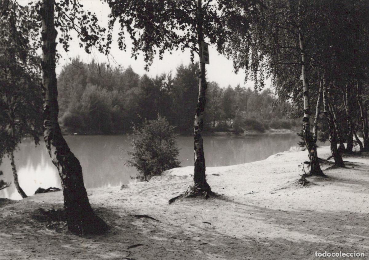 Cartoline: Germany Niesky Lake Recreation Area Scenic Landscape Real Photo Unposted *YAS194