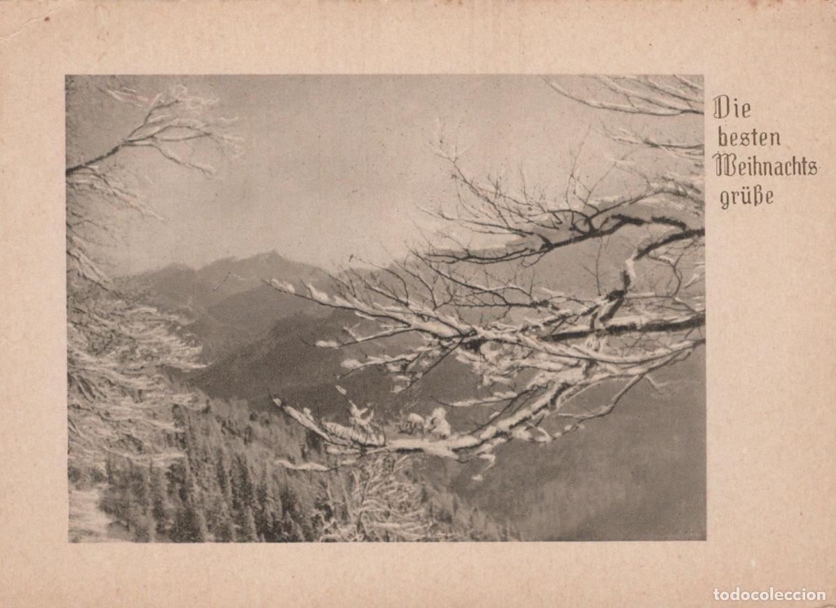 Postkarten: Germany Munich Snowy Mountain Landscape With Frosted Trees Christmas *YAS245