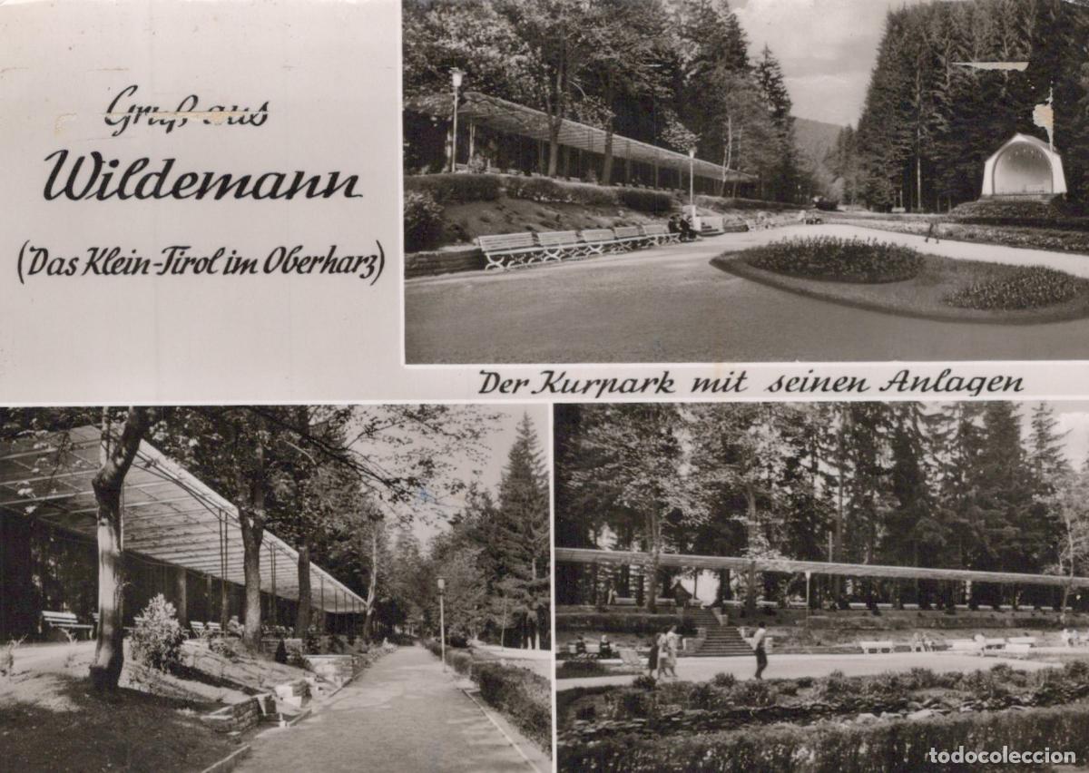 Cartoline: Germany Wildemann Kurpark With Gardens Real Photo Unposted *YAS255