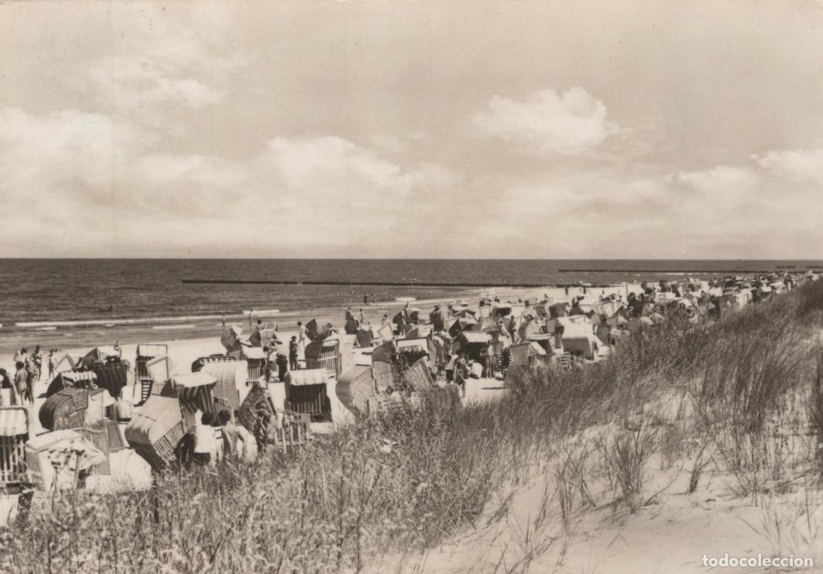 Cartoline: Germany Zempin Am Strand Beach Scene With Wicker Chairs *YAS263