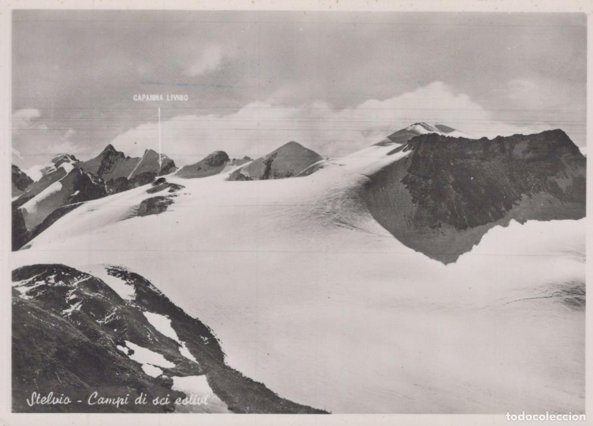 Postcards: Italy Stelvio Livrio Ski Fields Summer Skiing Real Photo Unposted *YAS329