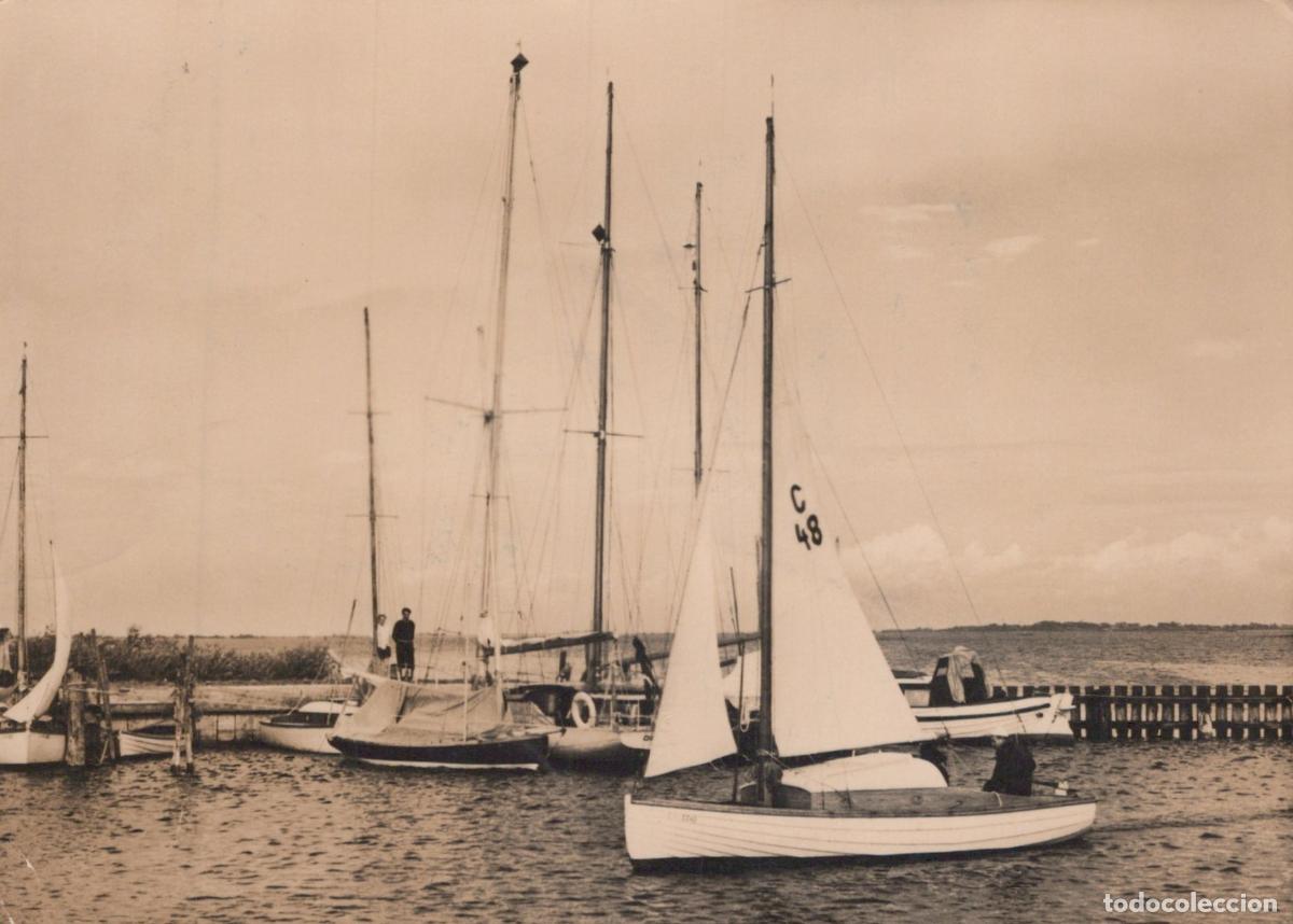 Postales: Germany Neuendorf Hiddensee Harbor Sailboats and Fishing Real Photo *YAS290