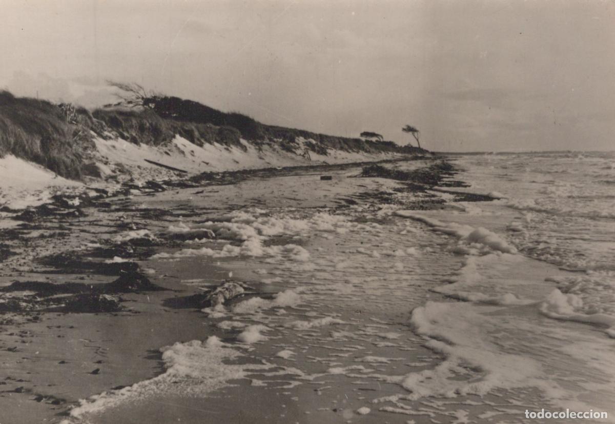 Postales: Germany Darss West Coast Sandy Beach With Dunes and Foamy Waves Unposted *YAS311