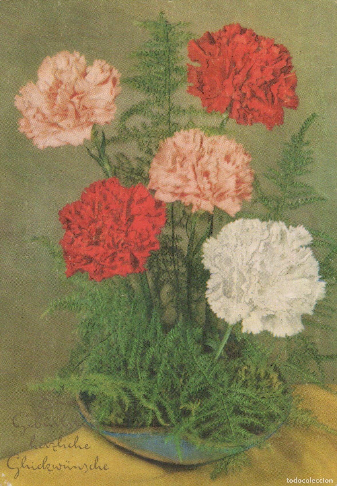 Cartes Postales: Germany Floral Still Life Carnations Ferns Herzliche Unposted *YAS444