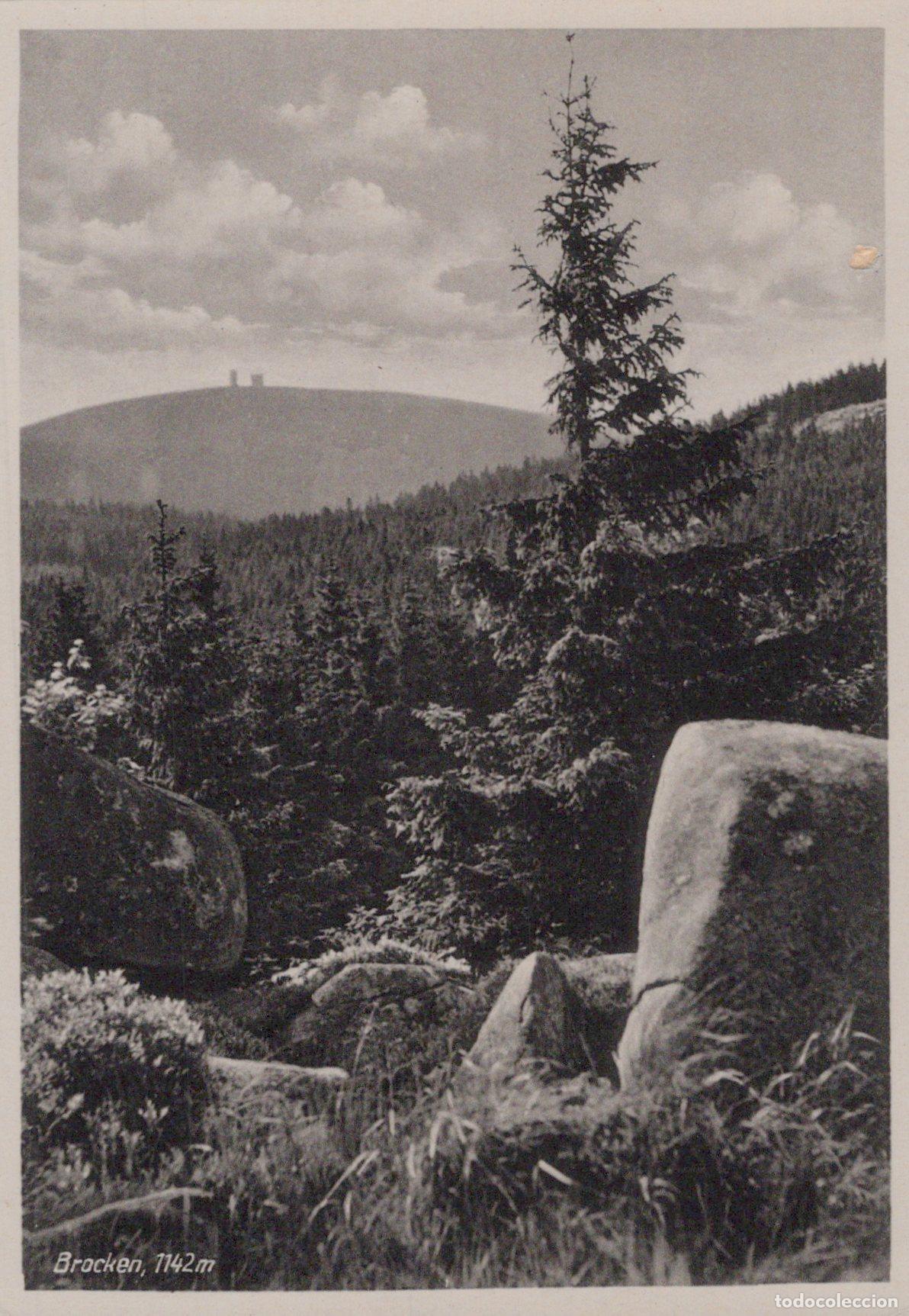 Postkarten: Germany Brocken Mountain 1142m Landscape Forest Rocks Vintage Unposted *YAS356