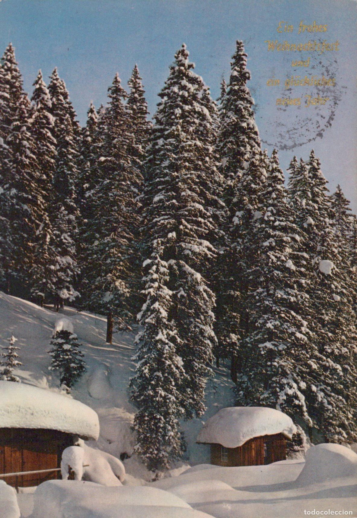 Cartes Postales: Germany Lorsch Winter Forest Snow Covered Trees Wooden Huts Landscape *YAS504
