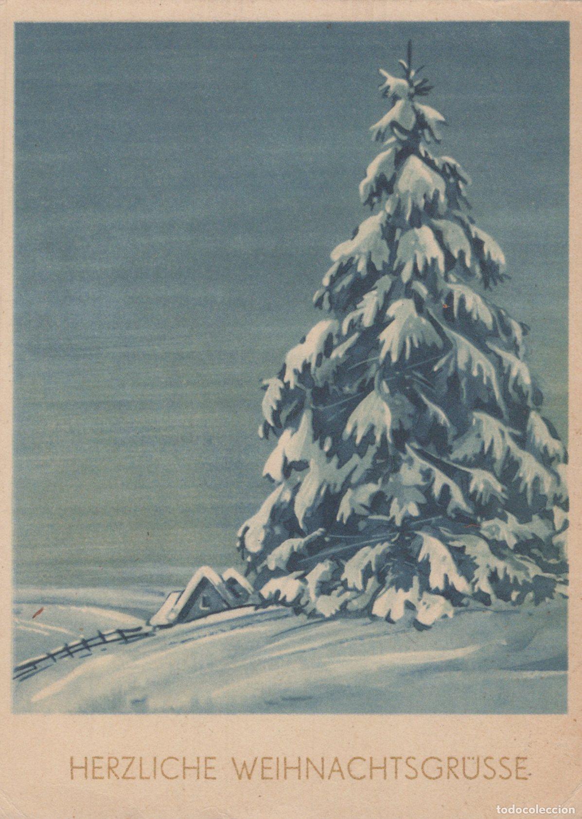 Postkarten: Germany Snowy Christmas Tree Winter Landscape Cabin Unposted *YAS519