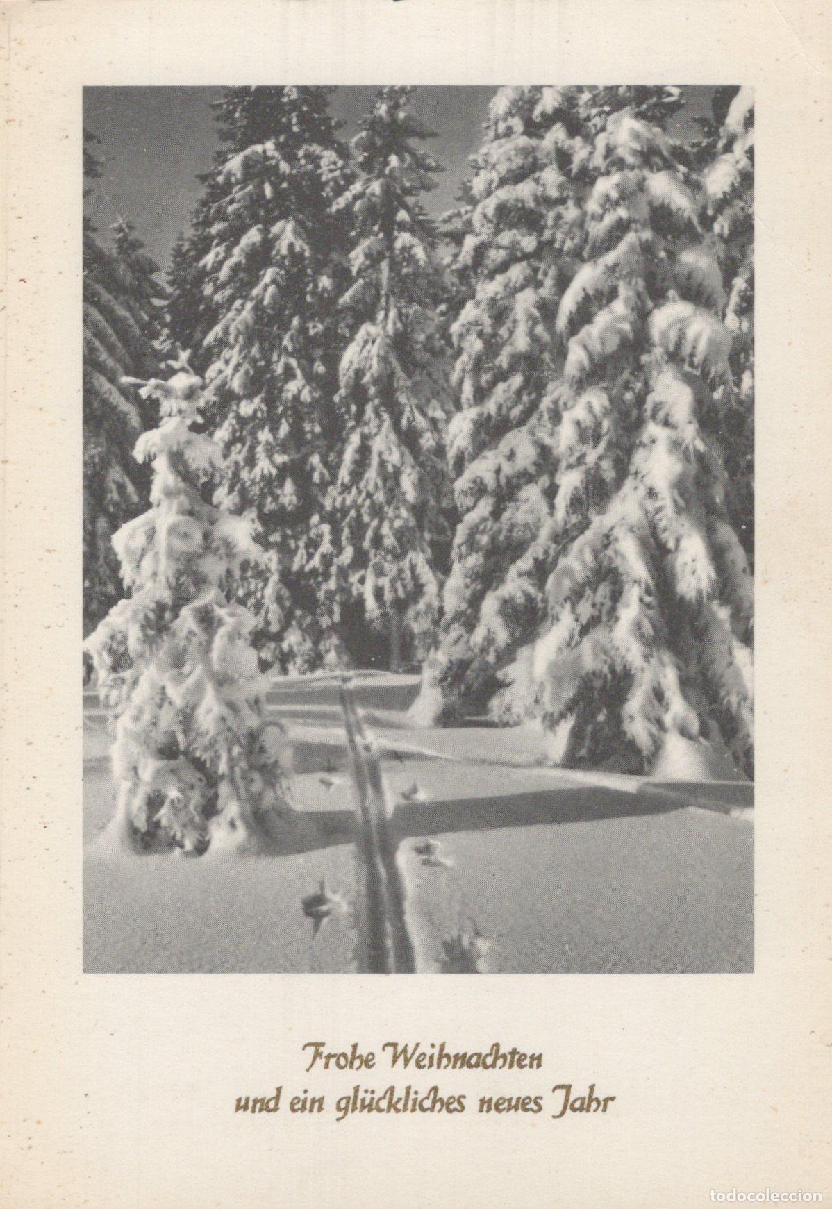 Postkarten: Germany Winter Forest Ski Tracks Snow Covered Trees Unposted *YAS406