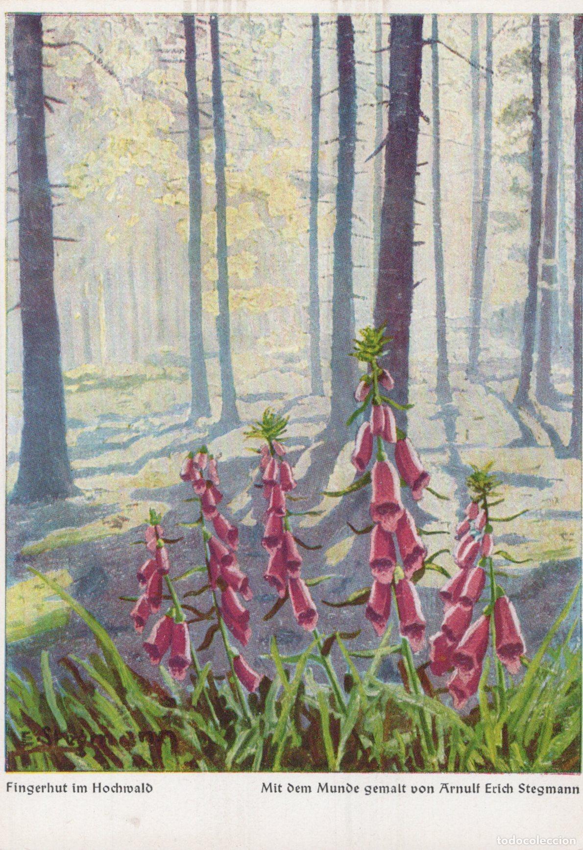 Postales: Foxglove in High Forest Floral Art Unposted *YAS539