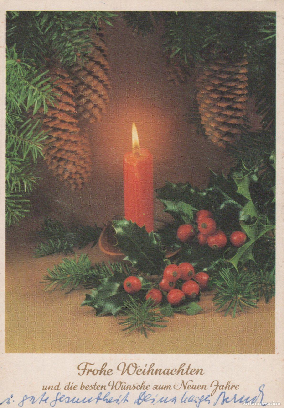 Postales: Germany Berlin Christmas Candle Pine Cones Holly Berries German Greeting *YAS544