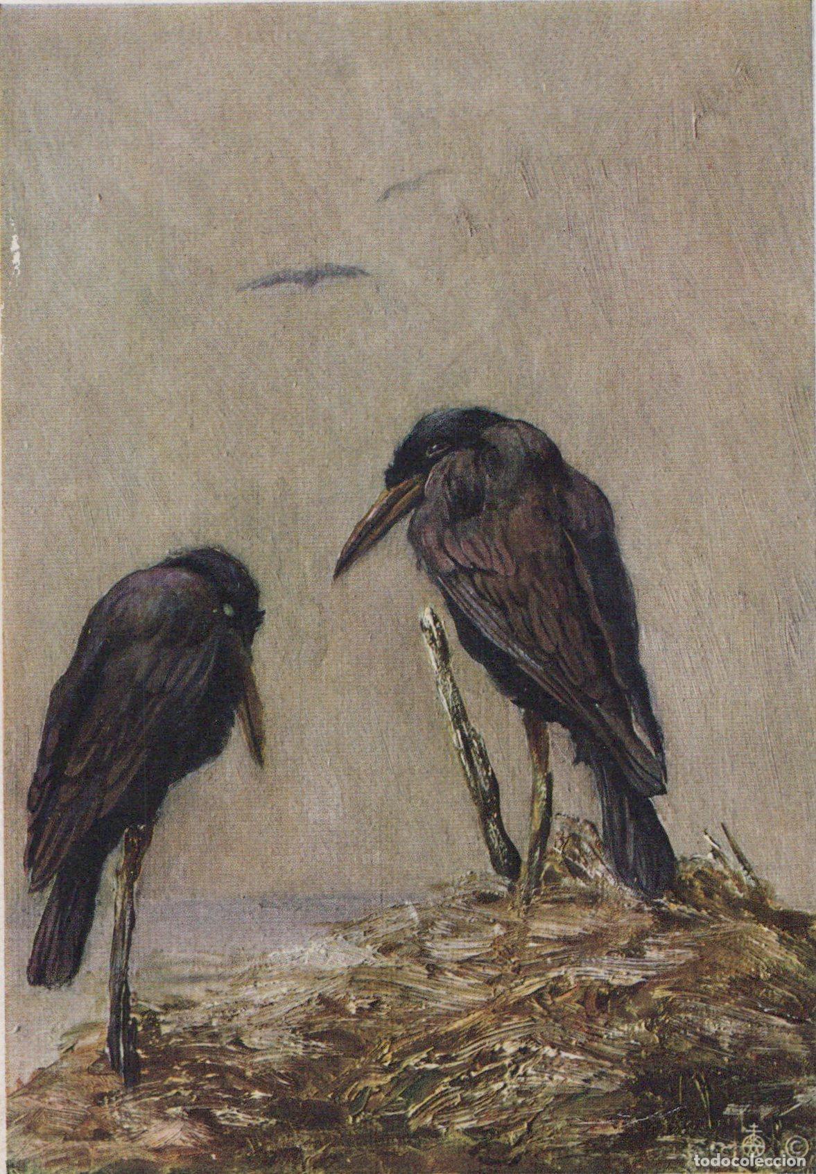 Postales: Germany Art Painting Two Crows On Nest Birds Wildlife Nature *YAS569