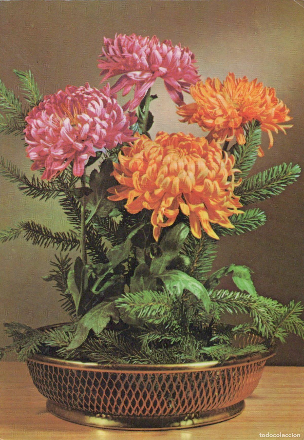 Postcards: Germany Hainichen Chrysanthemums and Fir Branches in A Decorative Basket *YAS574