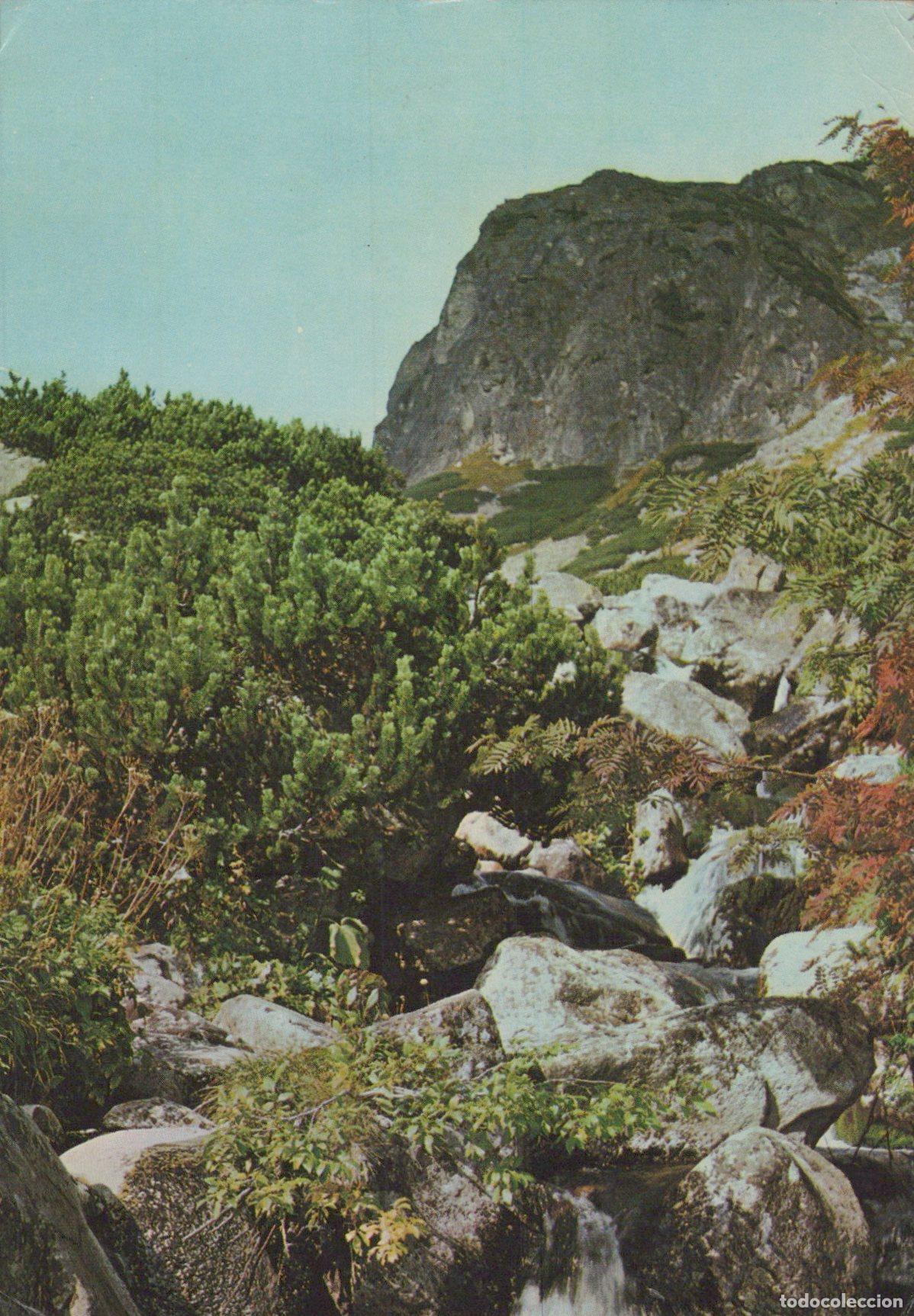 Cartes Postales: Slovakia Mlynick&aacute; Valley Autumn in the *YAS481