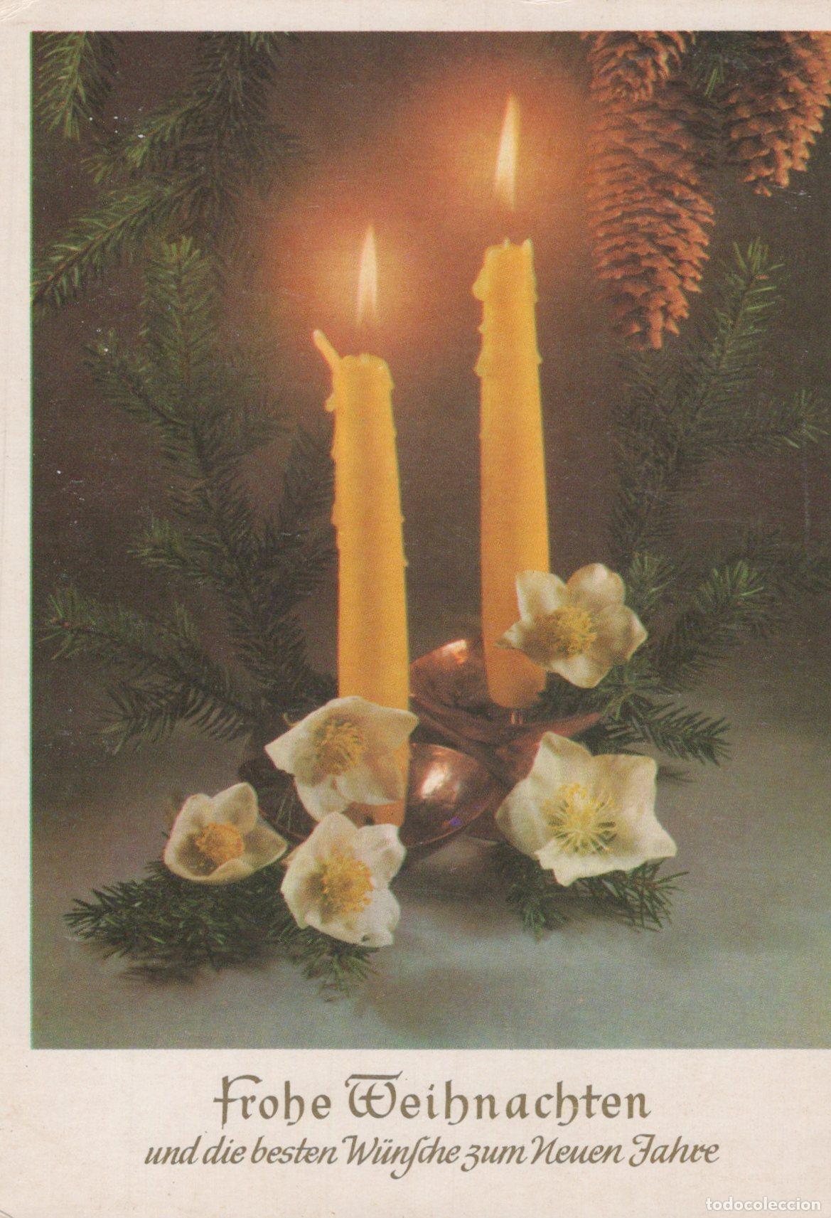 Postcards: Germany Berlin Christmas Candles Pine Cones Hellebore Flowers Holiday *YAS506