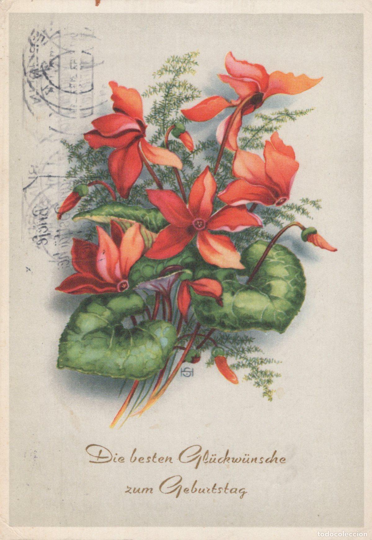 Postcards: Germany Berlin Birthday Cyclamen Flowers Floral Art *YAS622