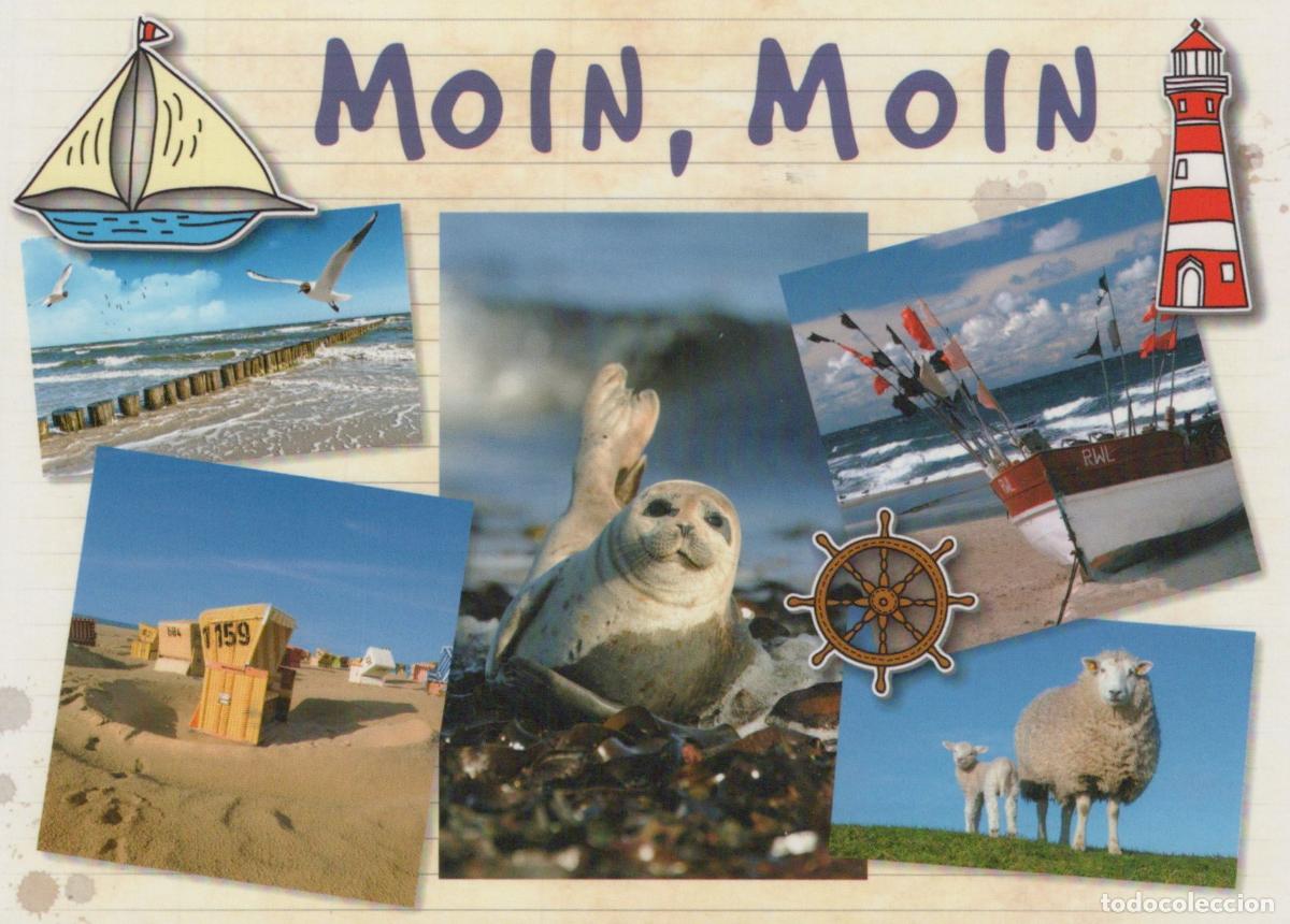 Postcards: Germany Elmshorn Moin German Collage With Seal Beach Lighthouse *YAS712