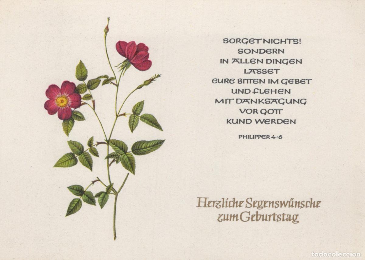 Postcards: Germany Berlin Redoute Roses Botanical Art Philippians 4 6 Unposted *YAS742