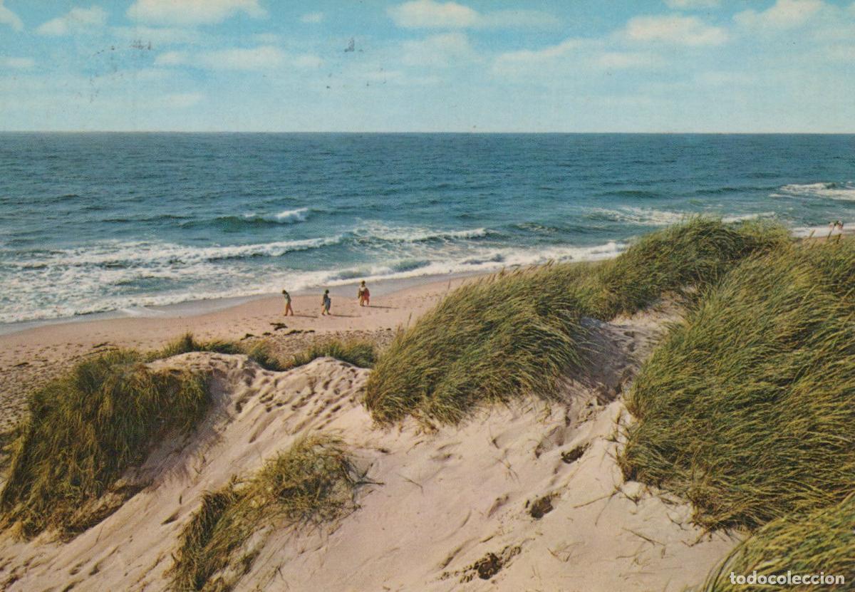 Postais: Germany Westerland Sylt Beach Dunes Ocean View People Vintage *YAS942