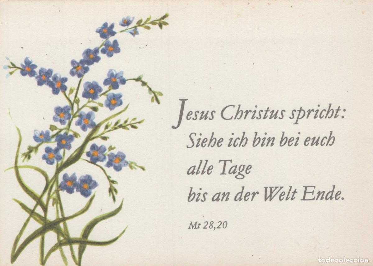 Postcards: Germany Potsdam Forget Me Nots Jesus Christ Quote Mt 28 20 Unposted *YAS952
