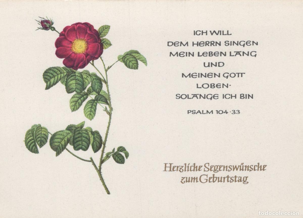 Postais: Germany Berlin Rosa Gallica Marboka Redoute Rose Religious Unposted *YAS962