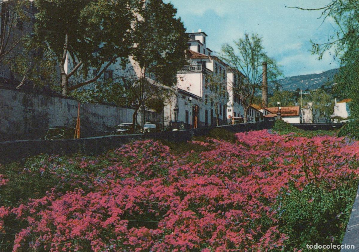 Cartoline: Portugal Funchal Bugainvillea Pink Flowers Street View *YAS944
