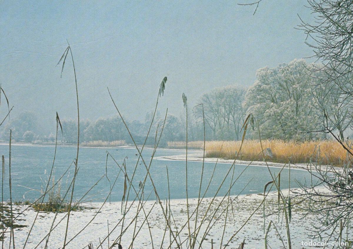Postais: Germany Hohentwiel Lake Constance Winter At Untersee Snowy Landscape *YAR012