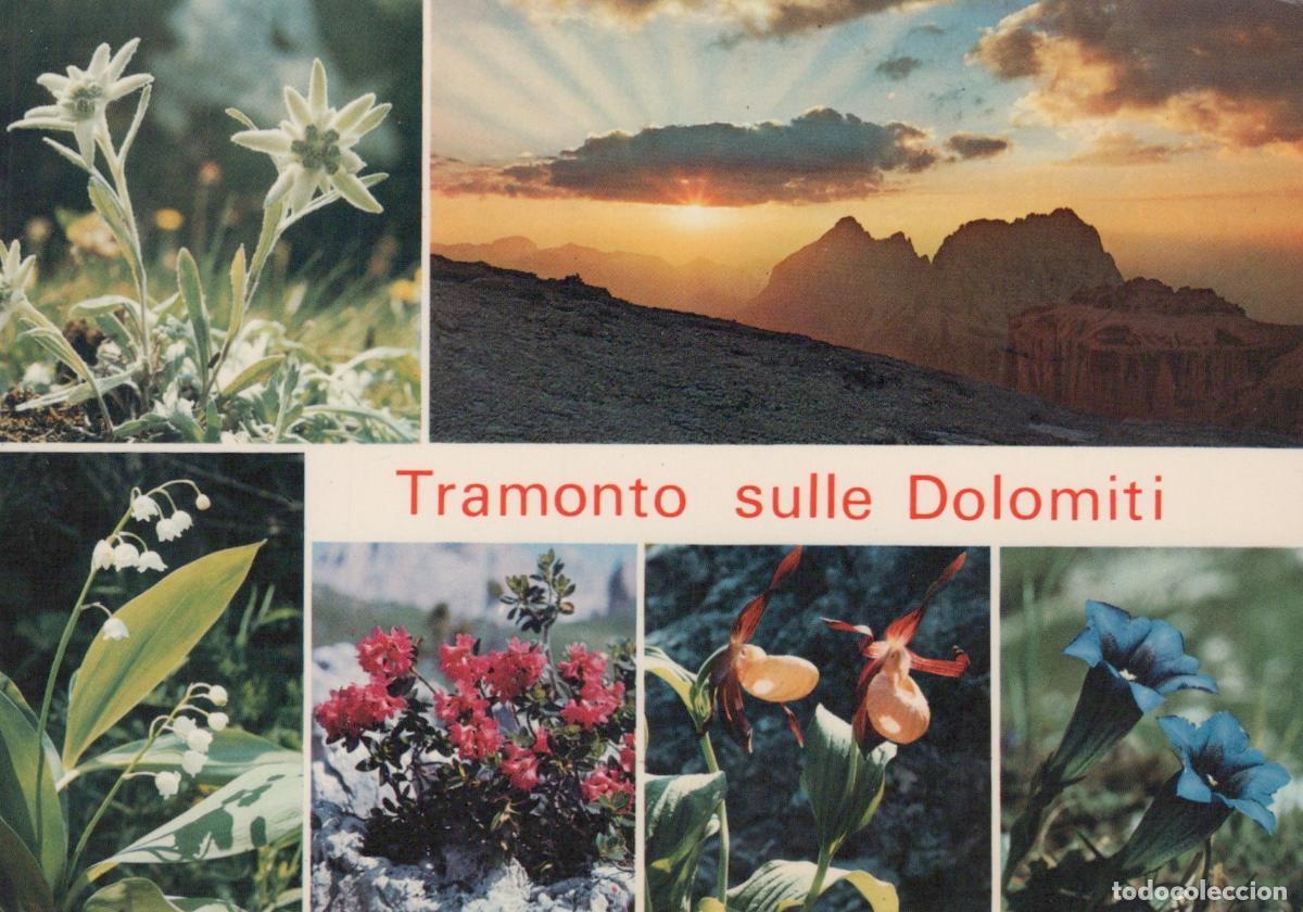 Postkarten: Italy Cortina D Ampezzo Dolomites Sunset Alpine Real Photo Unposted *YAR076