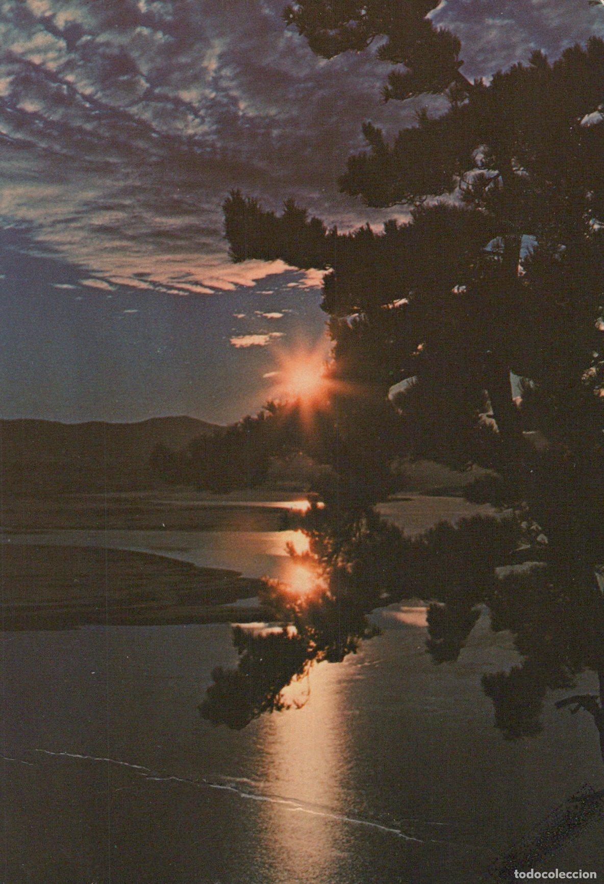 Postkarten: Italy Cosenza La Sila Lake Cecilia Sunset Landscape Pine Tree Reflection *YAR134